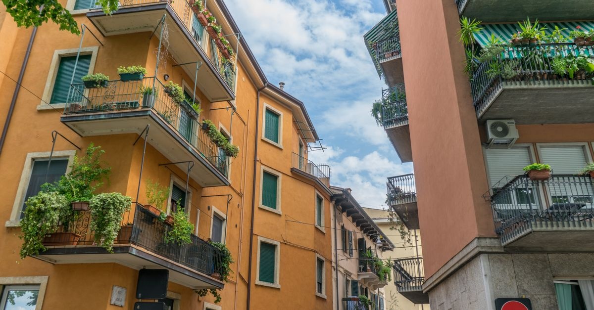 Sonnenverwöhnter Balkon: Die schönsten Pflanzen für heiße, helle Standorte