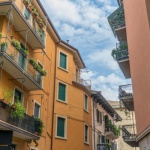 Sonnenverwöhnter Balkon: Die schönsten Pflanzen für heiße, helle Standorte