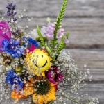 Kleine Blumenmomente, große Wirkung: So schenkst du dir selbst Freude im Alltag